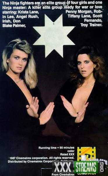 Naughty Ninja Girls