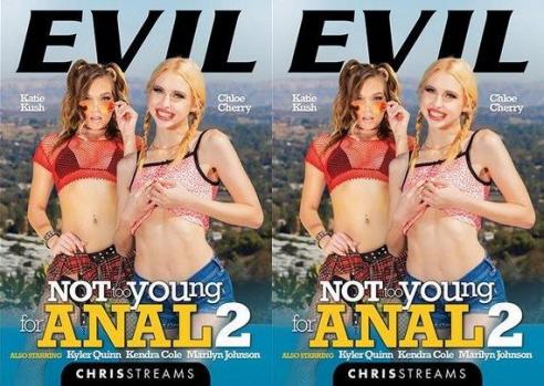 Not Too Young For Anal 2