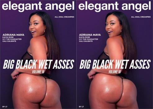 Big Black Wet Asses # 18
